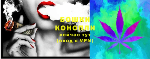 хмурый Богородск