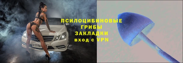 хмурый Богородск