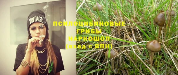 спиды Белоозёрский
