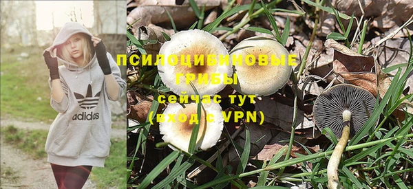 спиды Белоозёрский