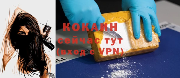 хмурый Богородск