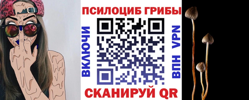Псилоцибиновые грибы мицелий  Горнозаводск 