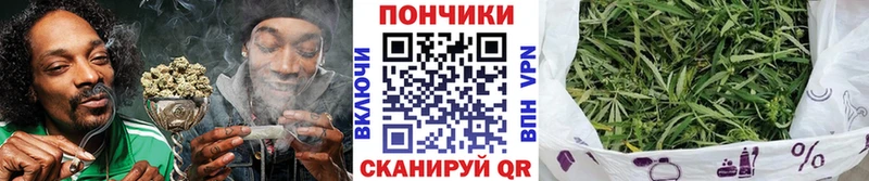 Шишки марихуана план  продажа наркотиков  Горнозаводск 